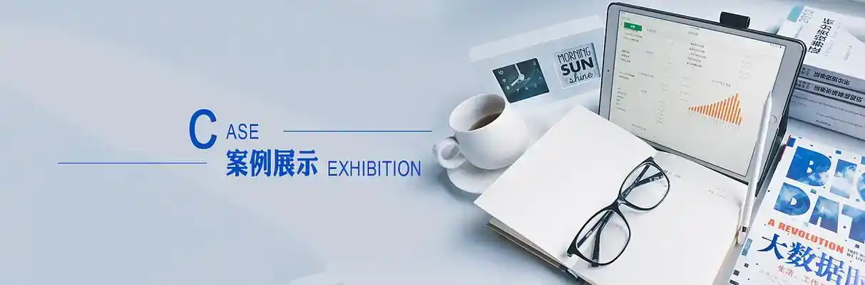 青白江区软件开发